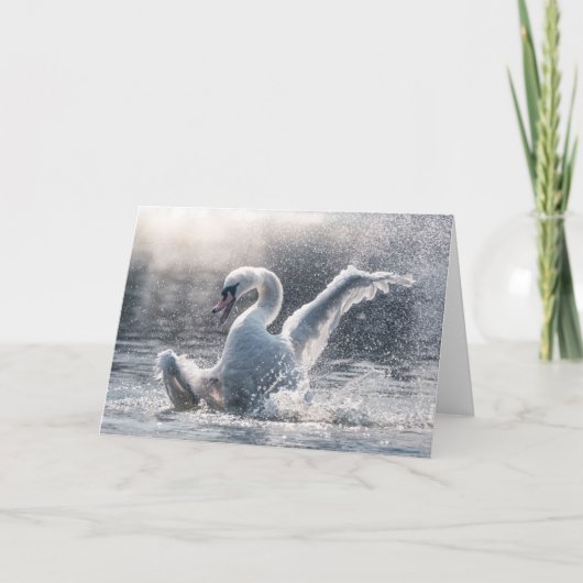 Swan Natuur-fotokaart Kaart (Voorkant)