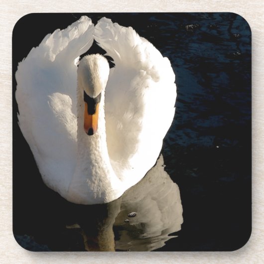 Swan Onderzetter (Voorkant)
