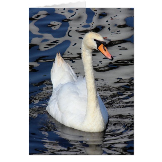 Swan op een meer (Voorkant)