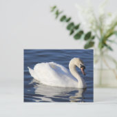 Swan op een meer briefkaart (Staand voorkant)