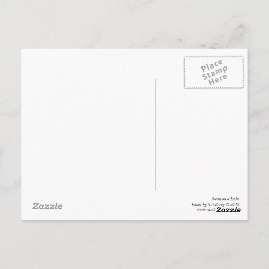 Swan op een meer briefkaart (Achterkant)
