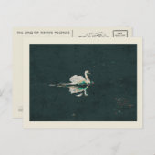 Swan op een meer briefkaart (Voorkant / Achterkant)