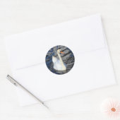 Swan op een meer ronde sticker (Envelop)