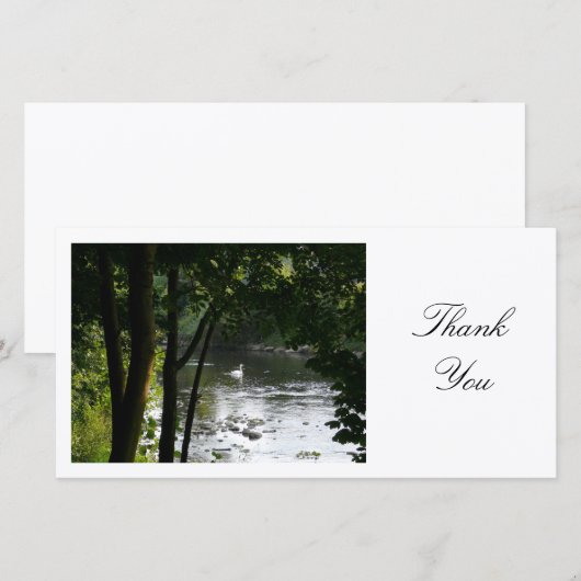 Swan op een rivier - Dank je Bedankkaart (Voorkant / Achterkant)