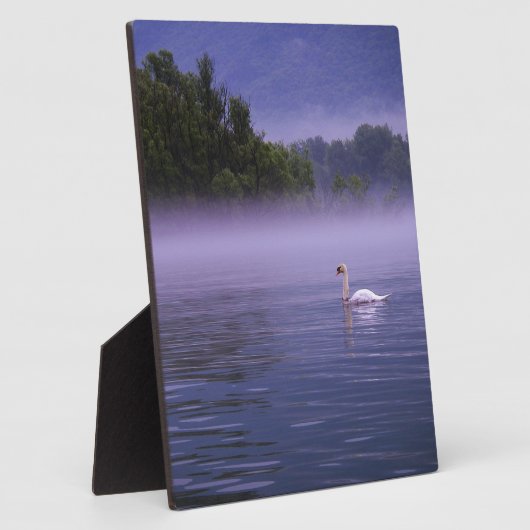 Swan op het meer fotoplaat (Zijkant)