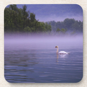 Swan op het meer onderzetter