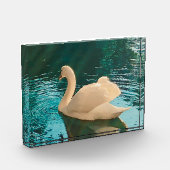 Swan op Pond Fotoblokken (Links)