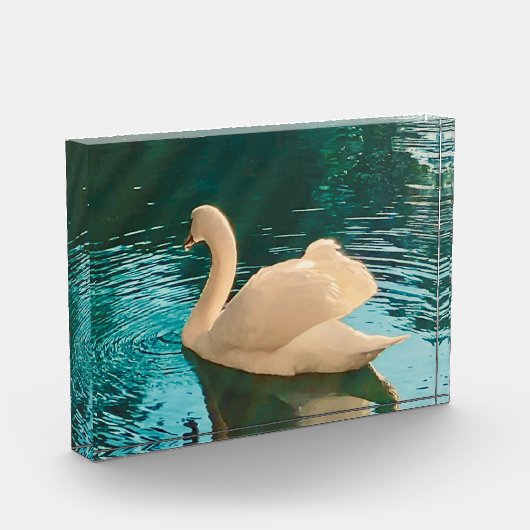 Swan op Pond Fotoblokken (Links)