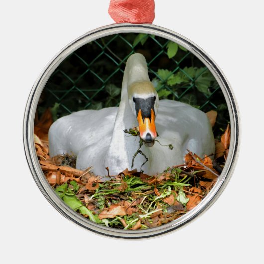 Swan op zijn nest metalen ornament (Voorkant)