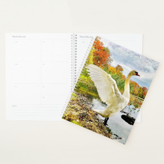 Swan Planner (Display)