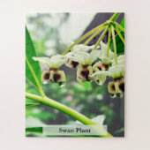 Swan Plant: Monarch’s First Home 56 Pieces Legpuzzel (Verticaal)