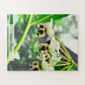 Swan Plant: Monarch’s First Home 56 Pieces Legpuzzel (Horizontaal)