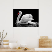Swan Poster (Keuken)