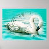 Swan Poster (Voorkant)