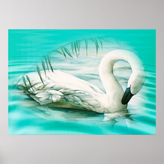 Swan Poster (Voorkant)