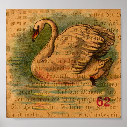 Swan Poster (Voorkant)