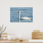 Swan Poster (Keuken)