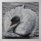 Swan Poster (Voorkant)