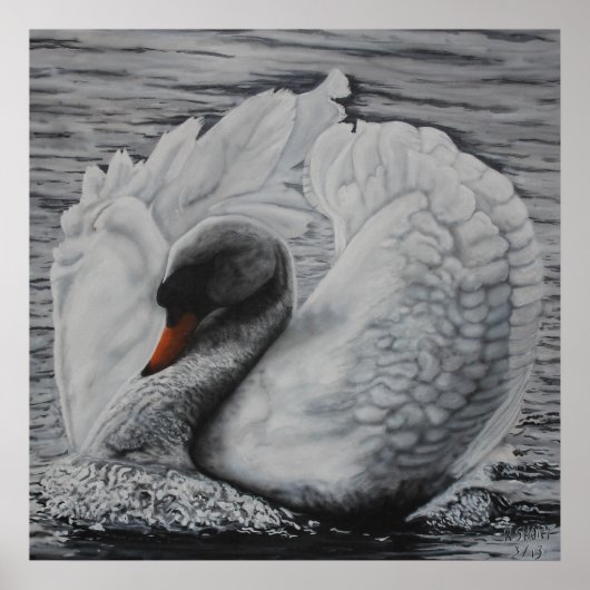 Swan Poster (Voorkant)
