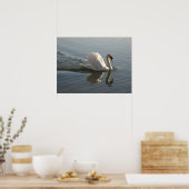 Swan Poster (Keuken)