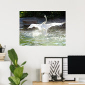 Swan Poster (Thuiskantoor)