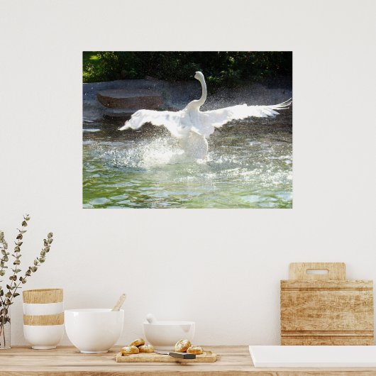 Swan Poster (Keuken)