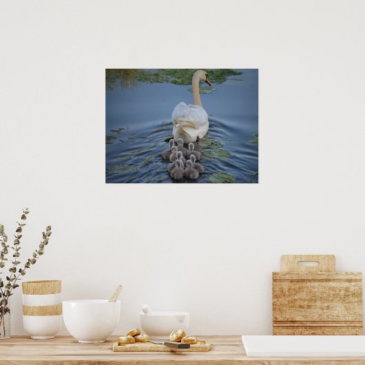 Swan Poster (Keuken)