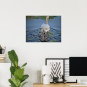 Swan Poster (Thuiskantoor)