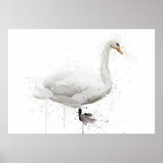 Swan Poster