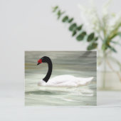 Swan-postkaart Briefkaart (Staand voorkant)