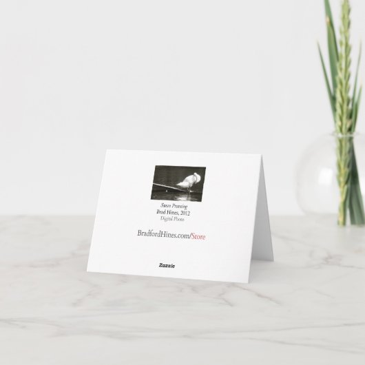 Swan Preening Note Kaart van Brad Hines (Achterkant)