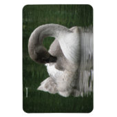 Swan Premium Magnet Magneet (Verticaal)