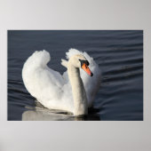 Swan Print (Voorkant)