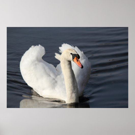 Swan Print (Voorkant)