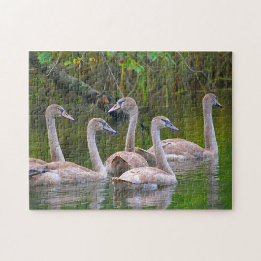 Swan Puzzle Legpuzzel (Horizontaal)