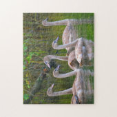 Swan Puzzle Legpuzzel (Verticaal)