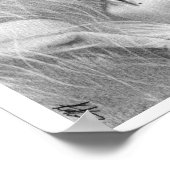 Swan Queen Ballerina Poster (Hoek)