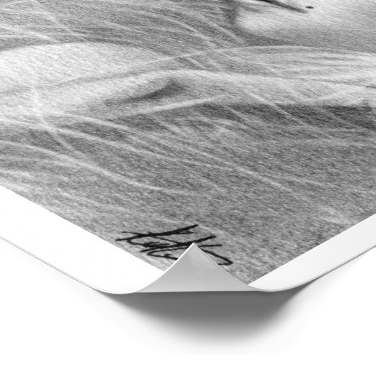 Swan Queen Ballerina Poster (Hoek)