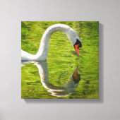 Swan Reflection Canvas Afdruk (Voorkant)