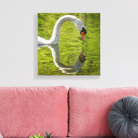 Swan Reflection Canvas Afdruk (Insitu (Woonkamer))