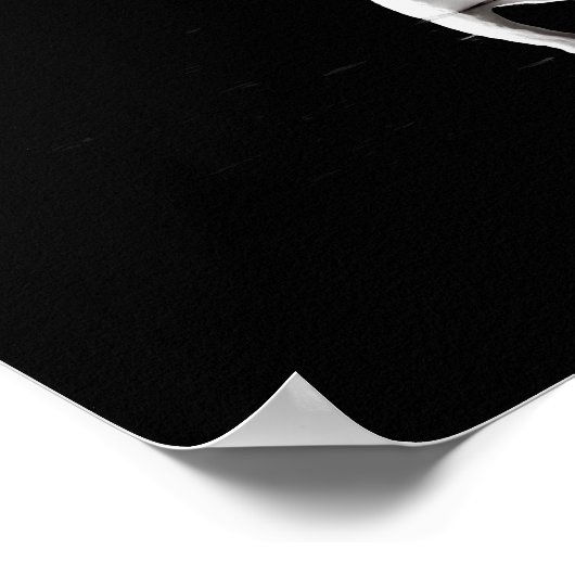 Swan Reflection Poster (Hoek)