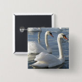 Swan Reflections Pin Vierkante Button 5,1 Cm (Voorkant /achterkant)