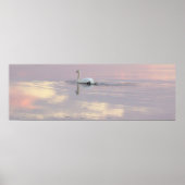 Swan Reflections Poster (Voorkant)