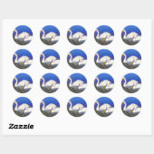 Swan Reflections Sticker (Vel)