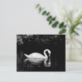 Swan, Roath Park, Cardiff. Briefkaart (Staand voorkant)