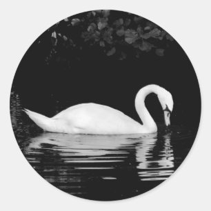 Swan, Roath Park, Cardiff. Ronde Sticker