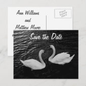 Swan Save the Date Briefkaart (Voorkant / Achterkant)