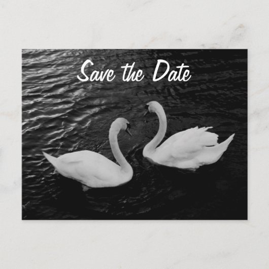 Swan Save the Date Briefkaart (Voorkant)