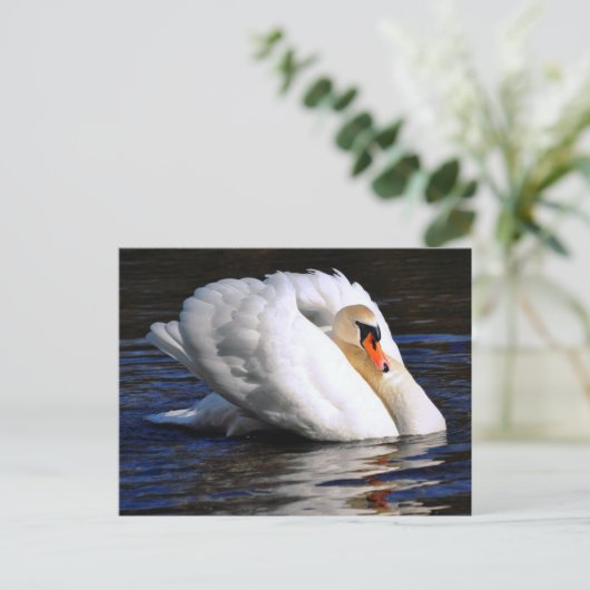 Swan Set Sail Briefkaart (Staand voorkant)
