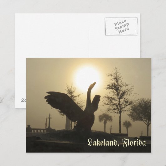 Swan Silhouette Lakeland Florida Briefkaart (Voorkant / Achterkant)